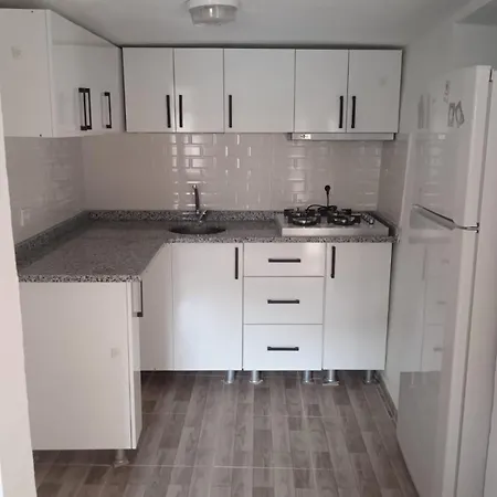 Tatil Evi Tam Merkezde Dublex Guenluek Kiralik Ev